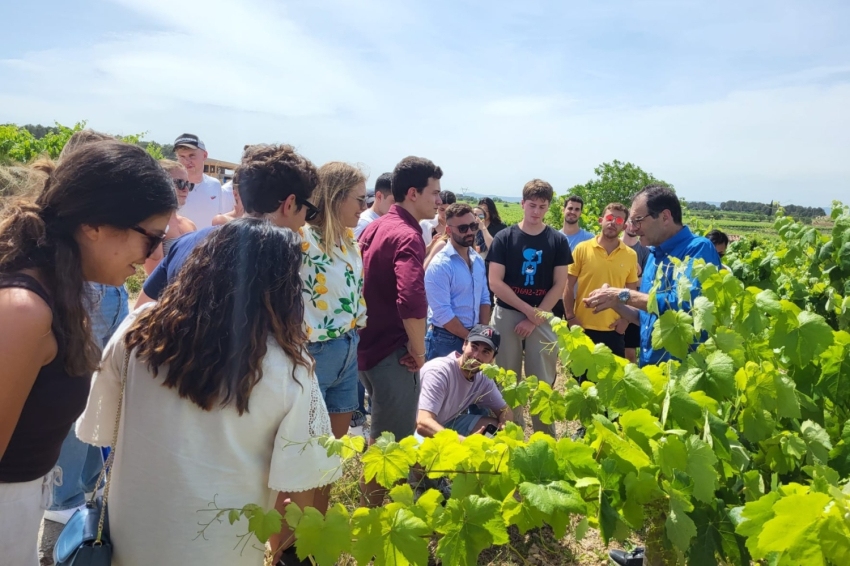 La Primavera del Cava (Cava Spring) 2025 (La Primavera Del Cava 2)