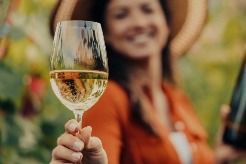 La Primavera del Cava (Cava Spring) 2025 (La Primavera Del Cava 7)