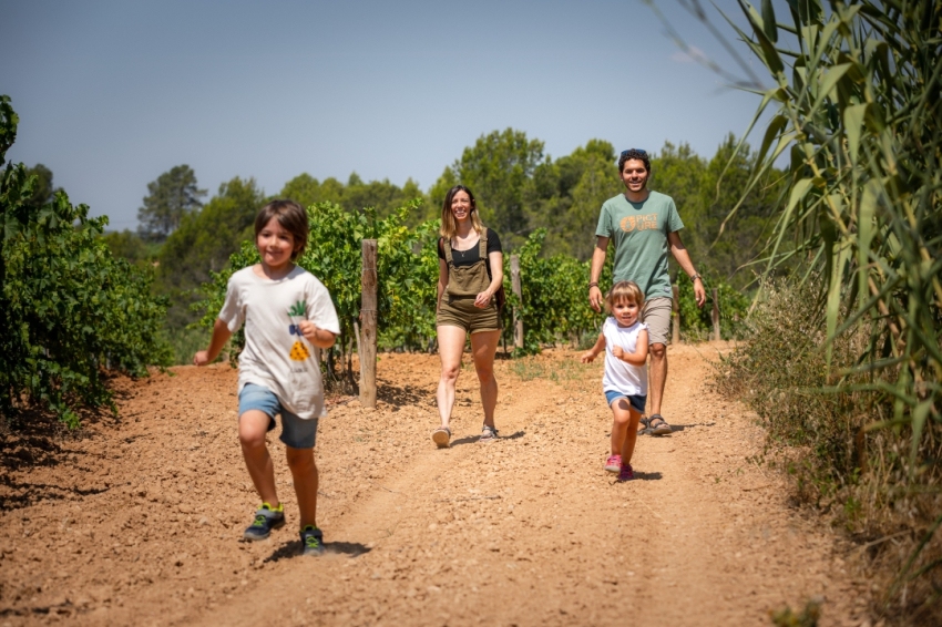 Discover the Cava Paths! (AECAVA Camins22 0628)