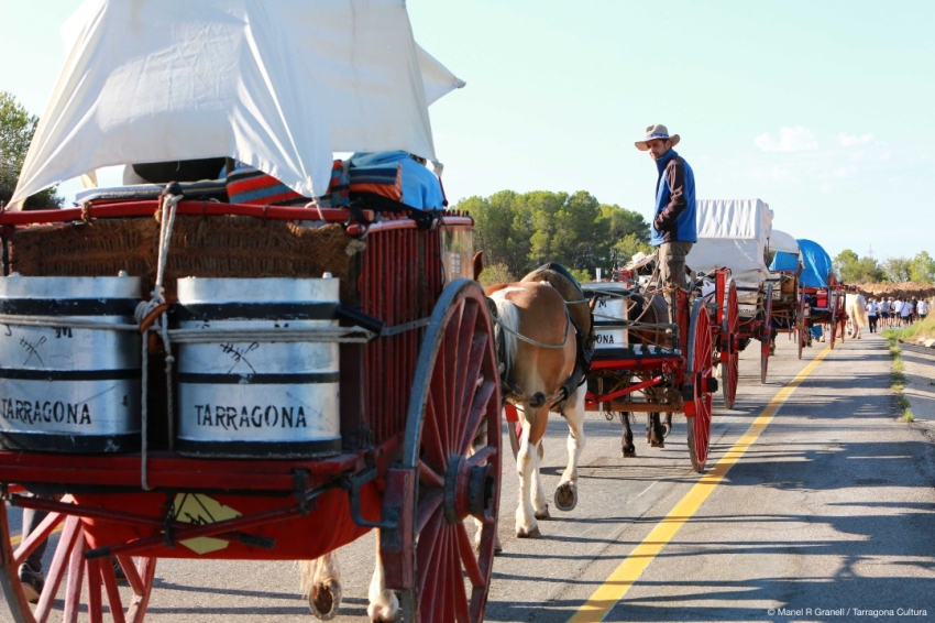 Sant Magí, Festa Major destiu de Tarragona (20230816 Baixada Portants Aigua_Manel Granell)