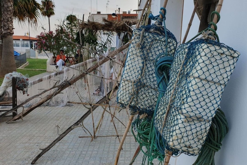 Journée festive et informative Les Cases: les femmes et la mer (358134833_669473581892625_8510464526961827801_n)