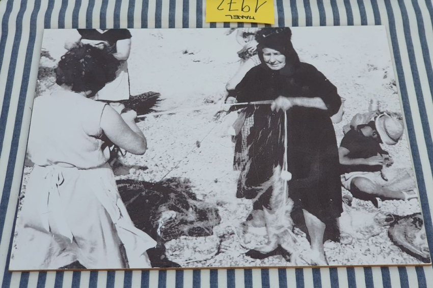 Journée festive et informative Les Cases: les femmes et la mer (364622167_669473565225960_252037851882069173_n)