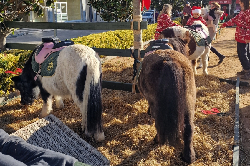Fira de Nadal a Santa Cristina dAro (08 Fira Nadal)