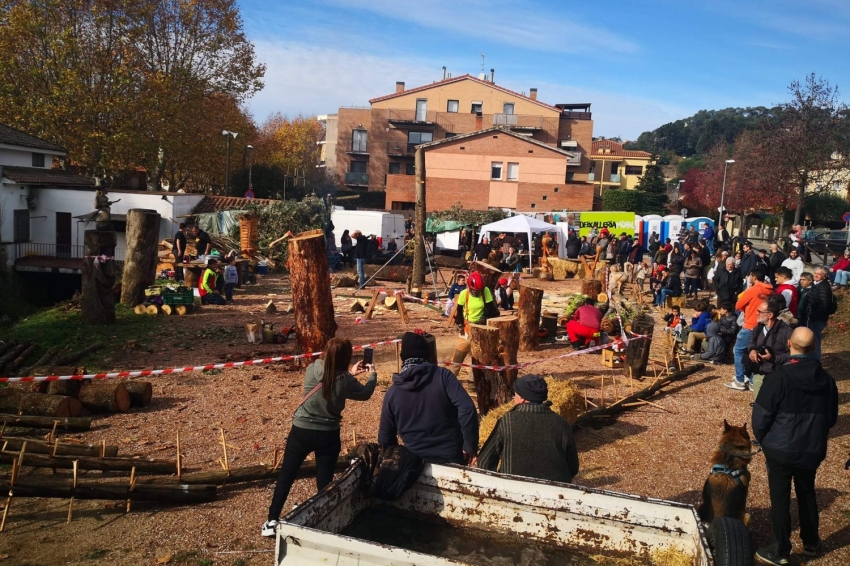 Forest and Peasant Fair in Vallgorguina (1000048832)