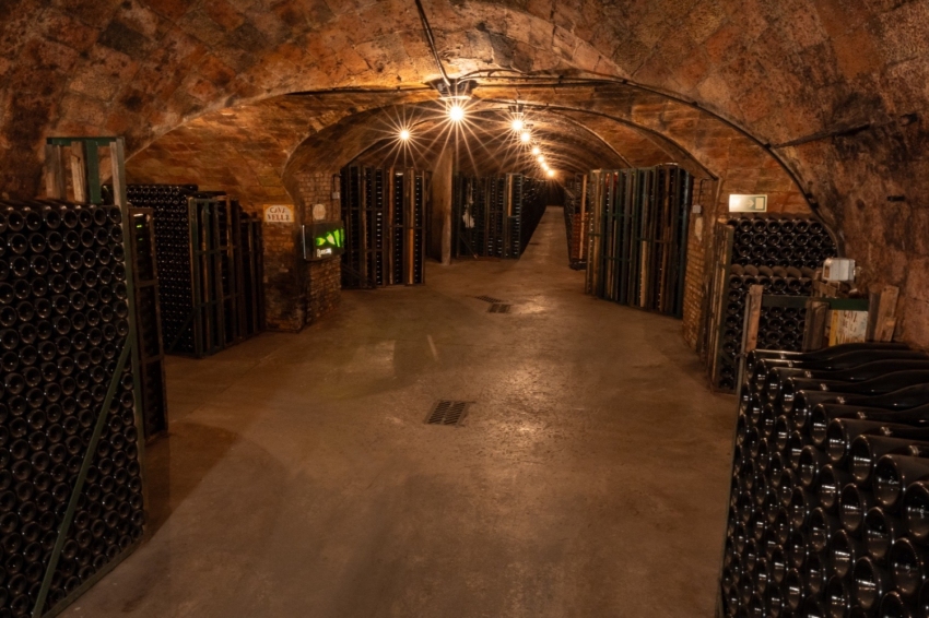 Tast a cegues amb maridatge Km0 a Cava Rovellats (Tast A Cegues Amb Maridatge Km0 A Cava Rovellats 2)