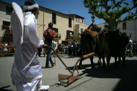 Sant Isidre Festival in Cabanes (Festa Major De Sant Isidre A Cabanes 3)