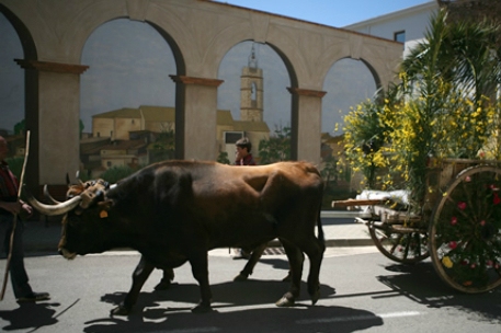 Sant Isidre Festival in Cabanes (Festa Major De Sant Isidre A Cabanes 4)