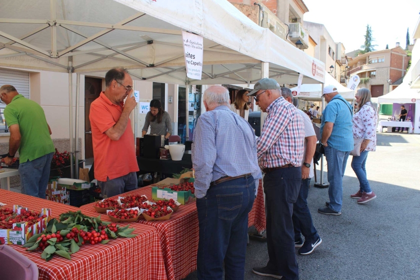 Fira de lagricultura, el comerç i les entitats a Castellví de Rosanes (Fira I Exhibicions 8)
