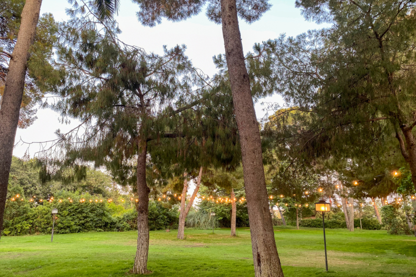 La Boella Garden Festival, Mas La Boella (Festival Del Jardi De La Boella 4)