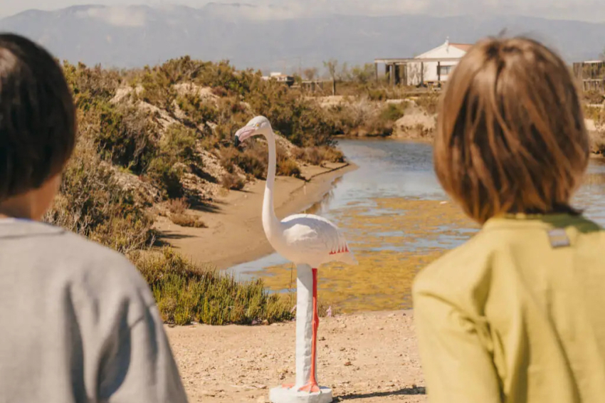 Activitat familiar - Missió Flamenc a MónNatura Delta de lEbre (102 1024x1024.jpg)