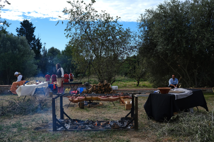Festa dels Miquelets a Olesa de Montserrat (Dscf9549 Min)