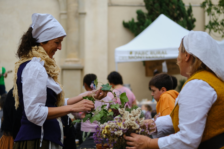 Festa dels Miquelets a Olesa de Montserrat (Dscf4268 Min)