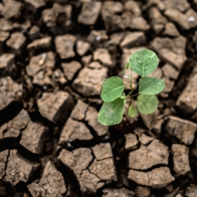 17 juin, Journée mondiale de lutte contre la désertification&#8230;