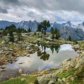 2 de febrero, Día Mundial de los Humedales