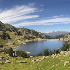 22 de maig, Dia Internacional de la Diversitat Biològica