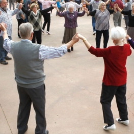 Aplec de Sardanas Aires Planencs in Pla de Santa Maria