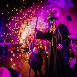 Carnaval Terra Endins à Torelló 2025