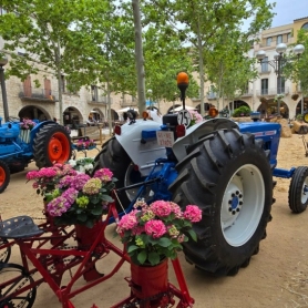 È bo, è mel i Exposició de flors a Banyoles