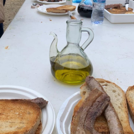 Festa de l'Oli d'Almoster