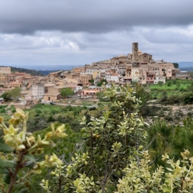 Festival of Sant Isidre Labrador in La Figuera