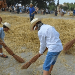 Mowing and threshing festival in Avià