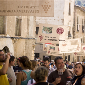 Festa del Vi i la Verema a l'Antiga, Poboleda
