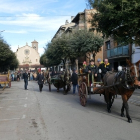 Festa dels Tonis de Taradell