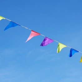 Fiesta mayor de la Bassanova, Almenar