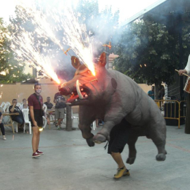 Fiesta Mayor del Bruc