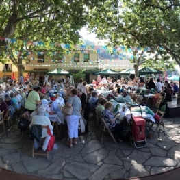 Fiesta Mayor del Montseny