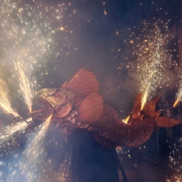 Major Festival of Sant Vicenç in Mollet del Vallès