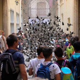 Festival 'A Cel Obert' a Tortosa