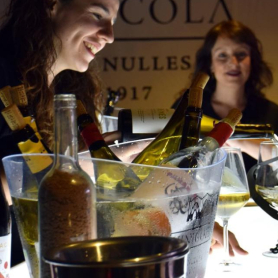Festival Melodeep al Celler Adernats - Nulles