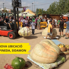 Feria de calabazas gigantes en Sidamon