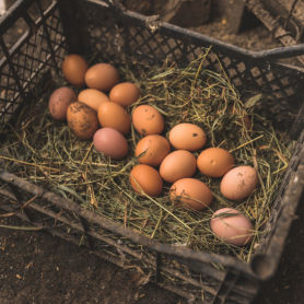 Foire aux œufs de Sant Guim de Freixenet