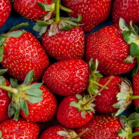 Foire aux fraises de Sant Cebrià de Vallalta