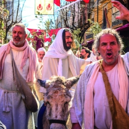 FIRAPASIÓN d&#39;Esparreguera