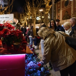 Fira de Nadal de Mataró