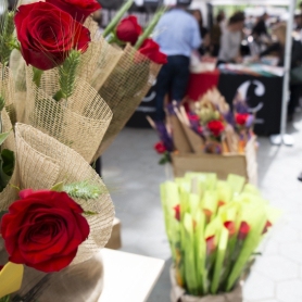 Sant Jordi Fair in Vilanova del Vallès