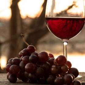 Fira de Vins, Territori Sauló a Sant Cebrià de Vallalta