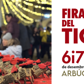 Tió Fair of Arbúcies