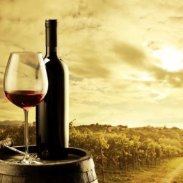 Fira Tastavins a Juneda