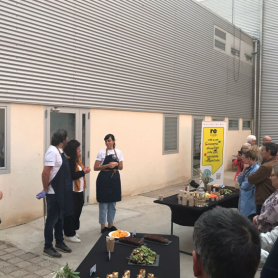 Fira Verd-lloc de Bell-Lloc d'Urgell