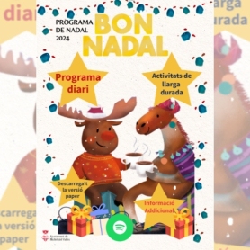 Gaudeix del Nadal a Mollet del Vallès!