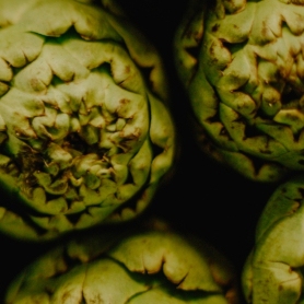 Gastronomic days of the artichoke in Amposta