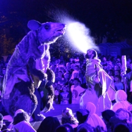 The plague of Santa Maria de Arenys de Mar