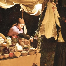 Fonollosa's Nit Viva