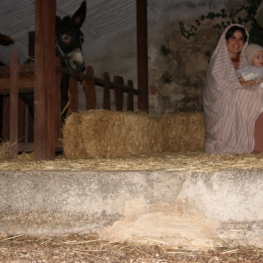 Pessebre Vivent de Jesús a Tortosa