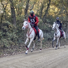 International Equestrian Raid in Santa Susanna