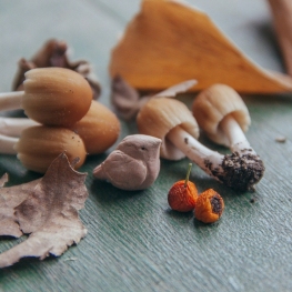 Automne de la cuisine et des champignons à Terrassa